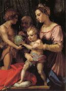 Andrea del Sarto Holy Family with St. John young France oil painting artist